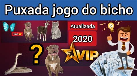 Puxada do cachorro no jogo do bicho Palpite do dia do Jogo do Bicho 24/11/2023